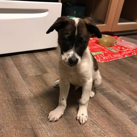 Meet your Posher, Scott - Picture 1 of 1